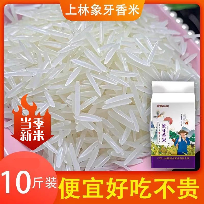 上林象牙香米优质大米2025年新米长粒香米农家丝苗米稻香米10斤装