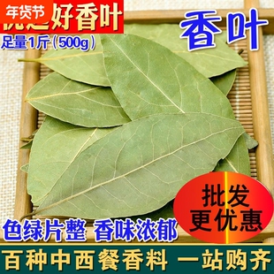 新货头茬香叶月桂叶火锅卤料炖肉炒菜饭店调味料新鲜香料商用批发