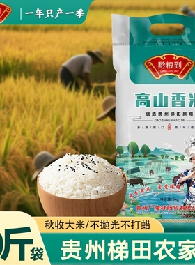 10斤贵州高山梯田长粒香米新米农家晚稻大米自种软糯新猫牙米籼米