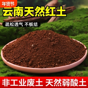 云南红土茉莉专用高原酸性天然红泥土小颗粒茶花桂花兰花营养土