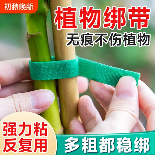 植物固定绑带绑花扎带园艺捆扎线