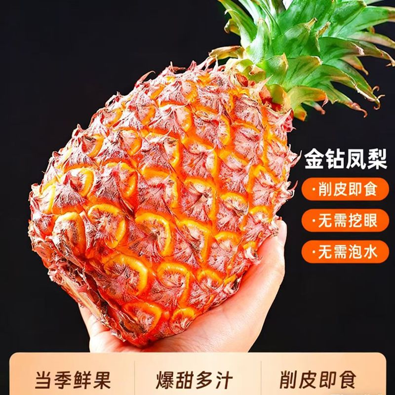 海南金钻凤梨新鲜水果应季凤梨特产大果无眼