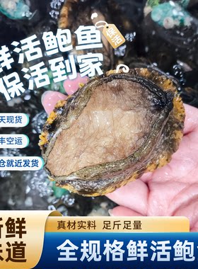 包活到家大连鲜活鲍鱼特大规格