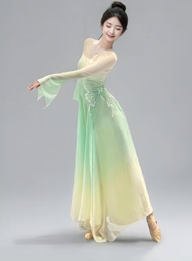 古典舞蹈服装飘逸身韵纱衣练功服女舞台装成人仙气古风演出服裙裤
