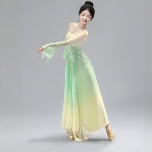 成人仙气古风演出服裙裤 古典舞蹈服装 飘逸身韵纱衣练功服女舞台装