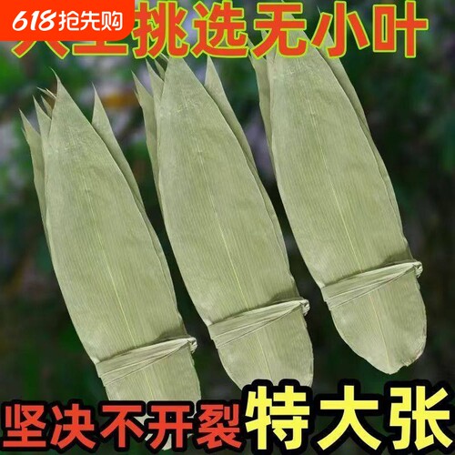 特大号野生干粽叶新鲜包粽子箬叶端午必备粽叶干大号家用粽子叶干