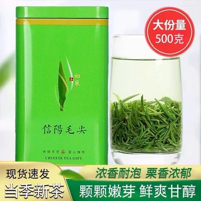 正宗毛尖绿茶2025新茶特级嫩芽春茶浓香型信阳工艺散装高山茶叶