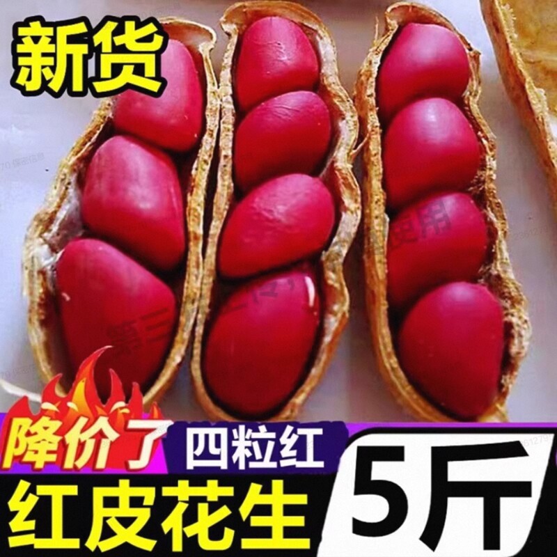 红皮花生米2025新货四粒红去壳新鲜干花生米红衣农家自种生花生