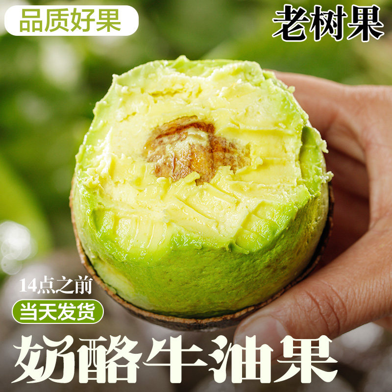 云南孟连牛油果新鲜水果一级鳄梨奶油当季宝宝辅食国产哈斯鲜果