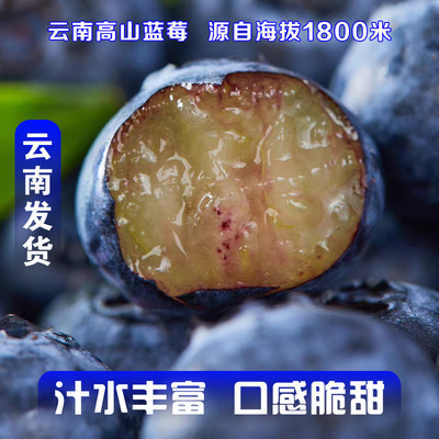 云南花香蓝莓大果脆甜多汁