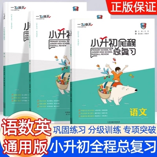 新版一飞冲天小升初全程总复习语文数学英语人教版精通版天津中考升学系统资料专项训练辅导书知识大集结教辅书重点考点名校听力