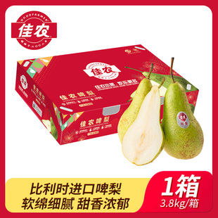 佳农进口比利时啤梨新鲜水果辅食软糯香甜7.6斤16头年货礼盒款