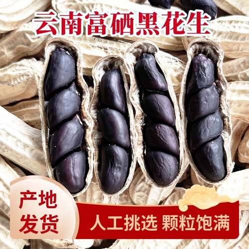 富硒云南黑花生带壳黑皮花生米500g特产新鲜健康晒干原味大颗粒
