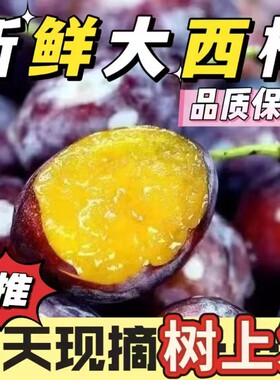 正宗西梅新鲜水果批发应季当季高山大西梅鲜果李子孕妇宝宝一整箱