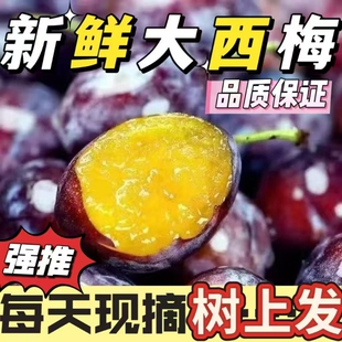 正宗西梅新鲜水果批发应季当季高山大西梅鲜果李子孕妇宝宝一整箱