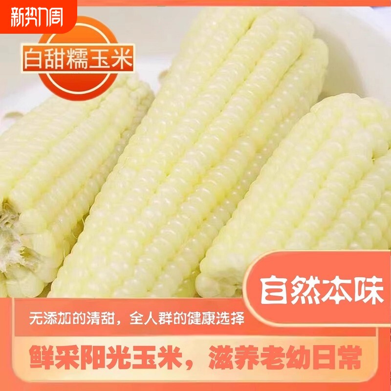 东北白甜糯玉米棒特产真空加热即食新鲜甜糯玉米软糯年货粒粒健康