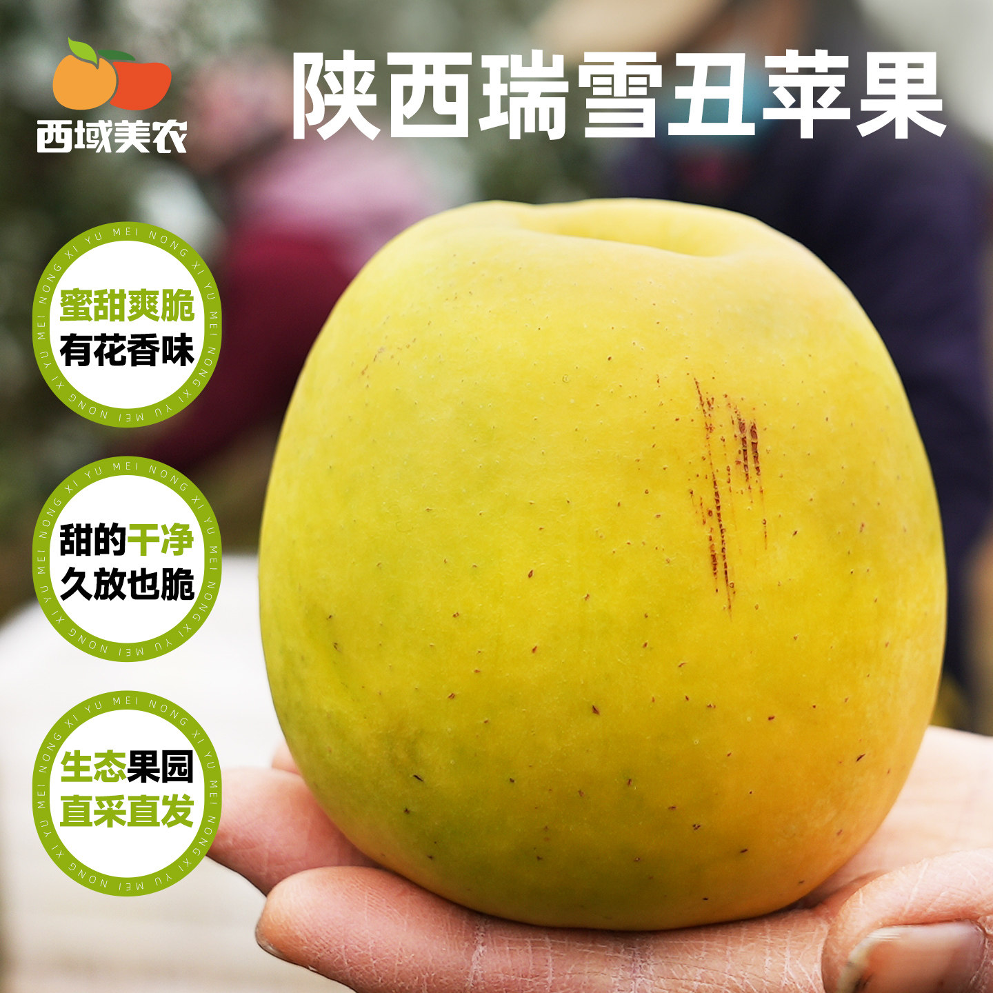 西域美农陕西瑞雪苹果生鲜水果丑苹果新鲜当季整箱4.5斤多规格,水产肉类/新鲜蔬果/熟食,苹果,淘宝优惠券,粉丝福利购,淘宝优惠卷