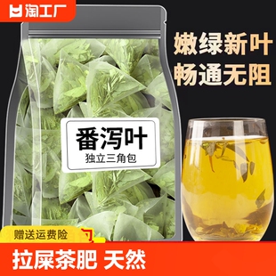 番泻叶正品 100包冲泡 拉屎茶肥天然养生茶包番茄叶潘泻叶袋装