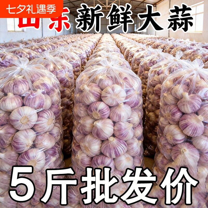 2026年金乡大蒜新干蒜特大果