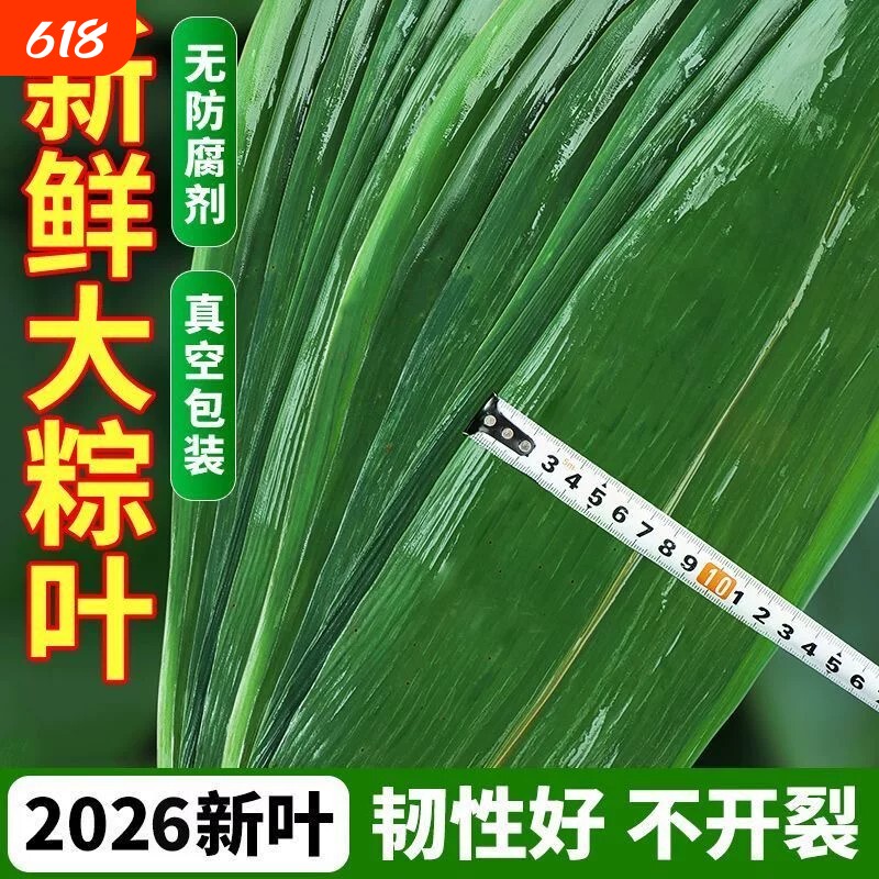 粽叶端午包粽子的叶子天然野生特大粽子叶箬叶鲜叶真空装
