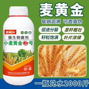 麦黄金小麦高产增产叶面肥顿八专用复合粒粒饱套餐抗寒防冻壮苗