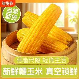 正宗东北新鲜黄糯玉米软糯拉丝真空包装寒地黑土苞米真空装精选