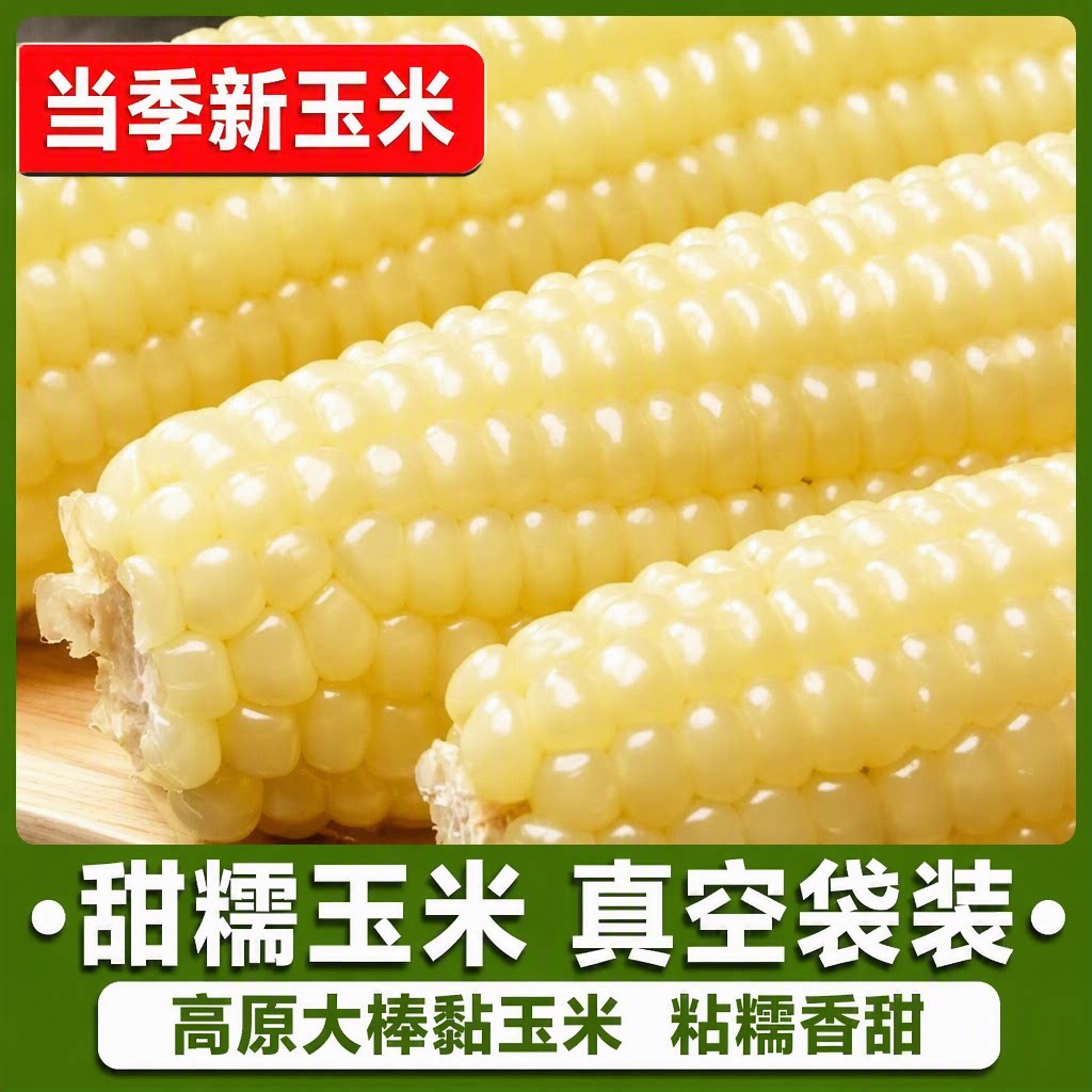 东北白糯玉米甜糯粘玉米棒真空包装黏玉米新鲜代餐玉米香甜早餐