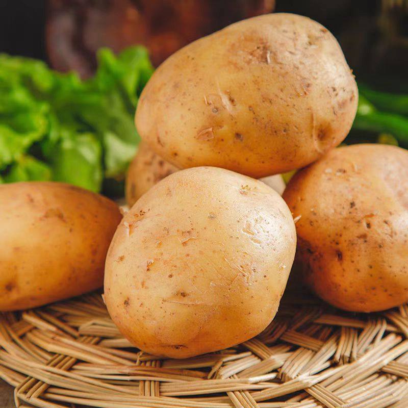 黄心土豆产地直发黄心沙面土豆马铃薯黄皮土豆3斤现挖蔬菜,水产肉类/新鲜蔬果/熟食,土豆,淘宝优惠券,粉丝福利购,淘宝优惠卷