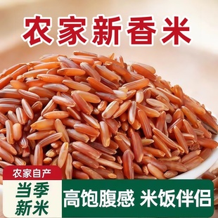 红米5斤红香米农家红米红香米农家粳米红血稻杂粮米五谷健康早餐