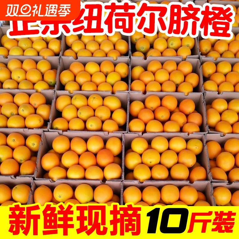一级正宗湖南纽荷尔脐橙带箱10斤包邮当季新鲜水果橙子整箱手剥橙