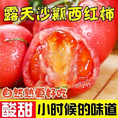 【顺丰包邮】露天西红柿新鲜采摘当季沙瓤自然熟生吃酸甜多汁番茄