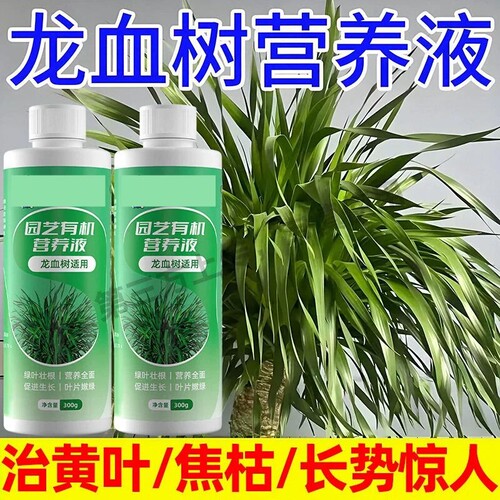 龙血树专用营养液盆栽室内绿植花肥防治黄叶干尖枯叶倒伏通用肥F