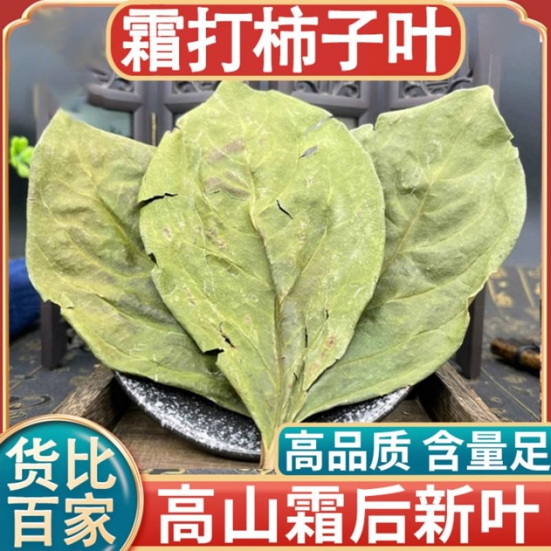 干柿子叶降茶包压血压中药粉末天然霜后新鲜泡水喝野生官方旗舰店 传统滋补营养品 其他药食同源食品 原图主图