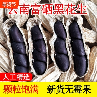 富硒黑花生带壳2025云南普洱特产晒干生熟花生米健康七彩年货大粒