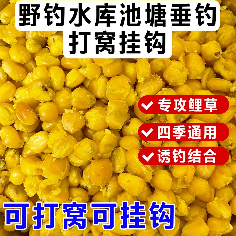 玉米打窝料颗粒钓鱼鲤鱼钓鱼老坛发酵老坛玉米诱钓两用鱼饵料