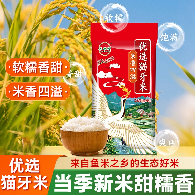 当季新米猫牙米长粒香大米