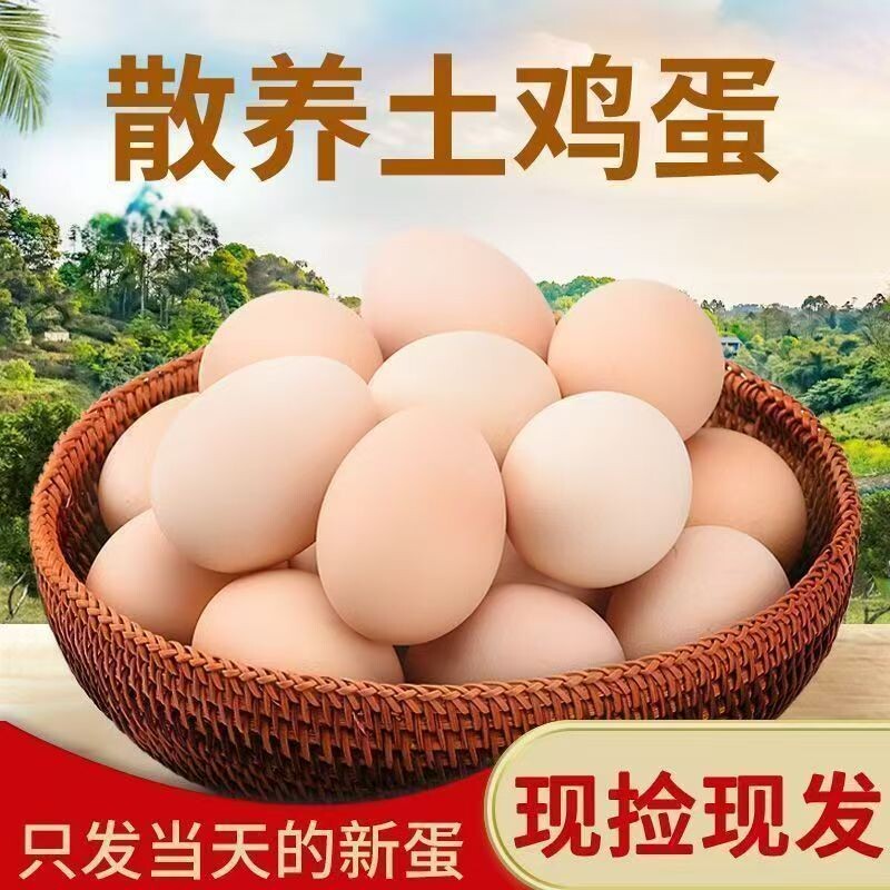 正宗农家土鸡蛋鲜鸡蛋现捡营养健康 谷物蛋40g/枚