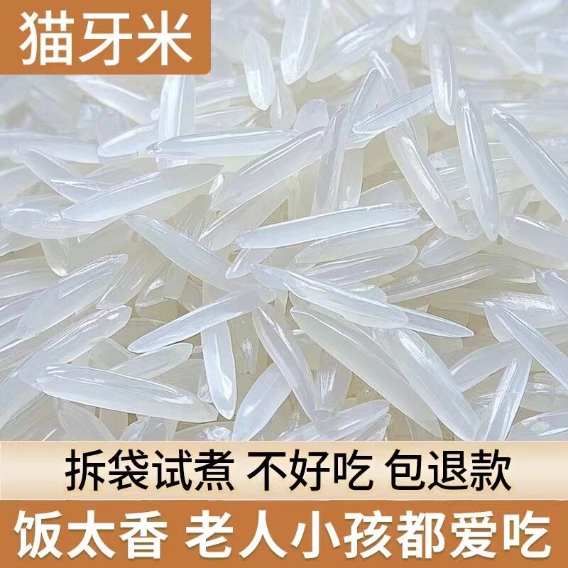 一级猫牙香米广西上林新米煲仔饭长粒原生态大米优质20斤粒粒米业