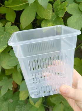 兰花盆栽方盆加厚透气塑料花盆控根盆蝴蝶兰定植篮水培桌面种花