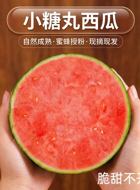 糖丸迷你小西瓜薄皮高甜新鲜现发手撕2K西瓜当季水果冰淇淋现摘