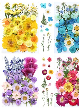 干花材料包diy永生花压花片草手工滴胶书签真花植物树叶标本黄金