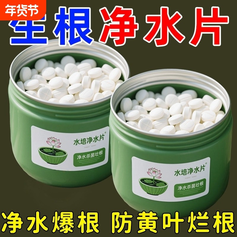 水培植物净水片鲜花花卉保鲜剂不臭水碗莲专用杀菌消毒片净化水质,鲜花速递/花卉仿真/绿植园艺,家庭园艺肥料,淘宝优惠券,粉丝福利购,淘宝优惠卷
