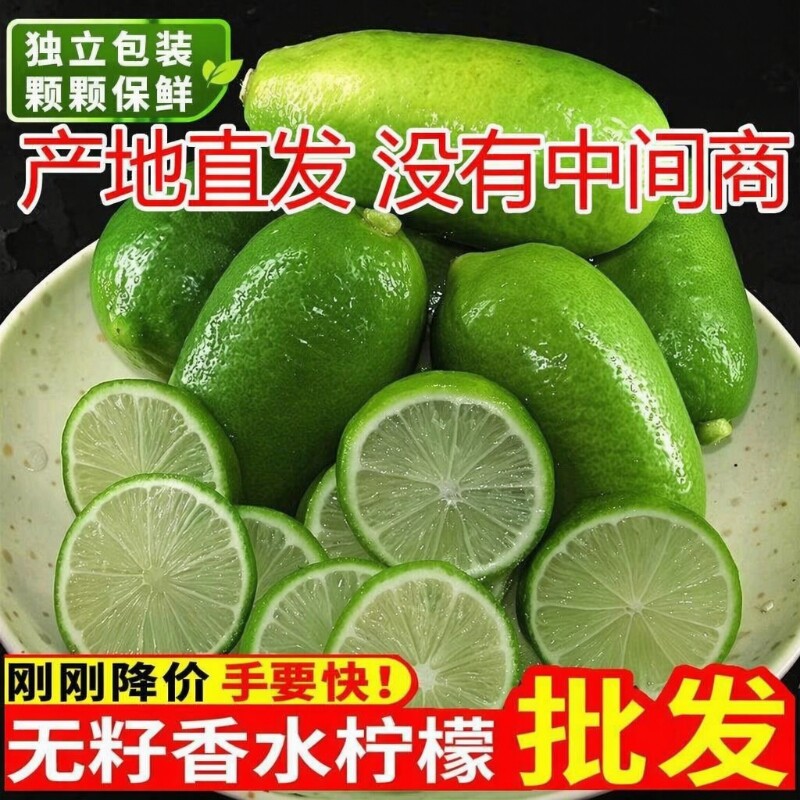 海南无籽香水柠檬子弹头柠檬5斤新鲜正宗青柠檬奶茶店专用批发