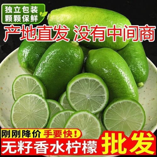 海南无籽香水柠檬子弹头柠檬5斤新鲜正宗青柠檬奶茶店专用批发