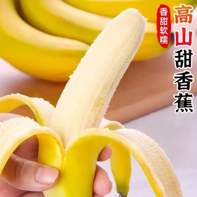 香蕉新鲜水果甜香蕉