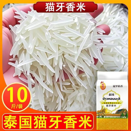 泰国大米香米猫牙甄进口长粒丝苗米茉莉香米新米10斤米饭籼米米业