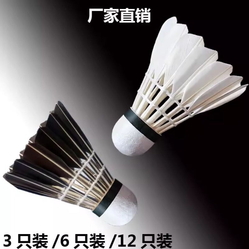 羽毛球12支装6个装耐打羽毛球白色黑色室外学习训练球