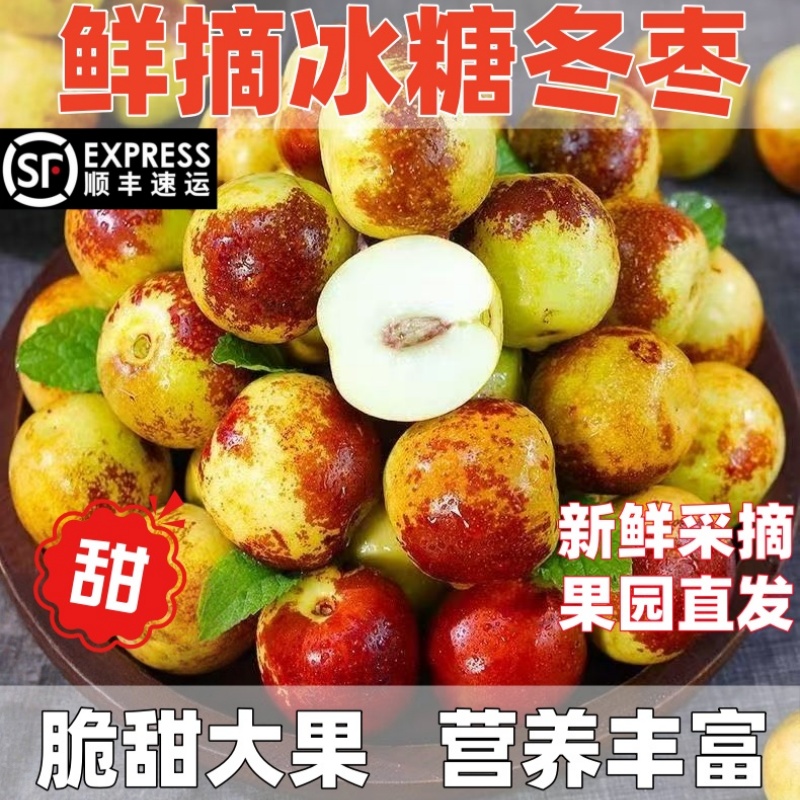 顺丰包邮正宗冬枣新鲜大果应季整箱枣子现摘脆枣冰糖大枣当季水果