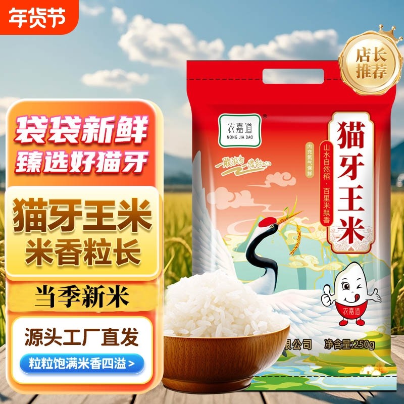 当季一级新米猫牙米大米煮饭香甜优质大米蛋炒饭煲仔饭酒店专用米