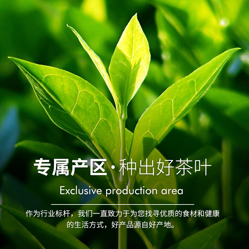 抹茶粉商用果蔬粉冲饮奶茶蛋糕甜品商用原材料0添加蔗糖巧克力粉